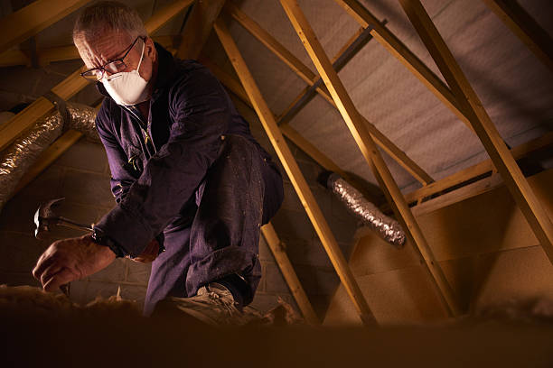 Best DIY Insulation Kits and Guidance in Harbor Springs, MI